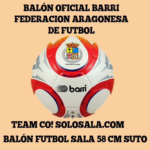 balon-barri-futbol-sala-58cm-oficial-federacion-aragonesa-de-futbol-disponible-en-solosala-teamco-tfno-656866228-en-zaragoza-MODELO-SUTO-1.jpg